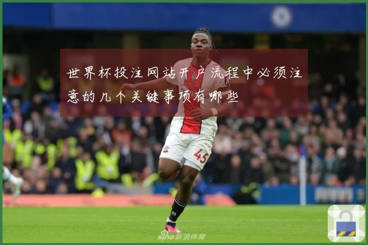 世界杯投注网站开户流程中必须注意的几个关键事项有哪些