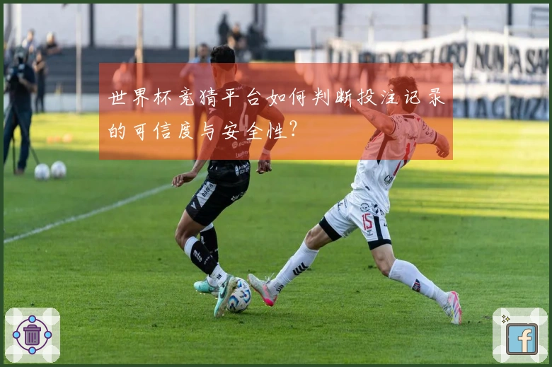 世界杯竞猜平台如何判断投注记录的可信度与安全性？