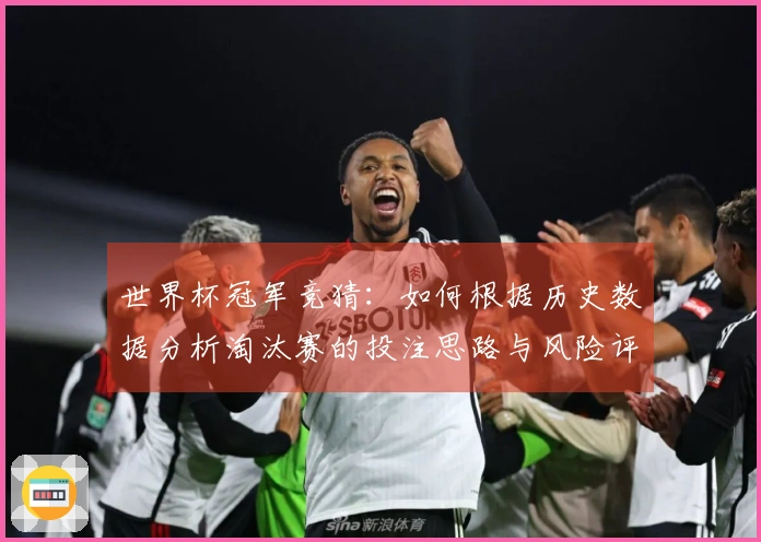 世界杯冠军竞猜：如何根据历史数据分析淘汰赛的投注思路与风险评估