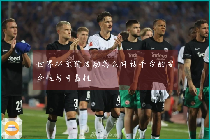 世界杯竞猜活动怎么评估平台的安全性与可靠性