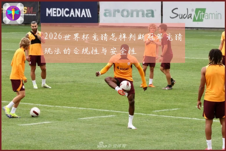 2026世界杯竞猜怎样判断冠军竞猜玩法的合规性与安全性
