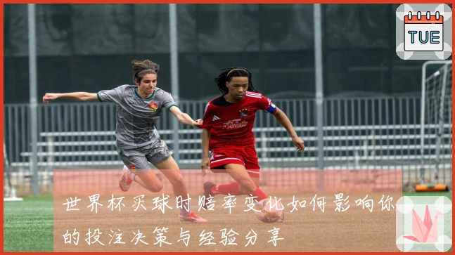 世界杯买球时赔率变化如何影响你的投注决策与经验分享