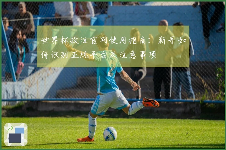 世界杯投注官网使用指南：新手如何识别正规平台及注意事项