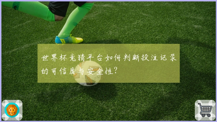 世界杯竞猜平台如何判断投注记录的可信度与安全性？