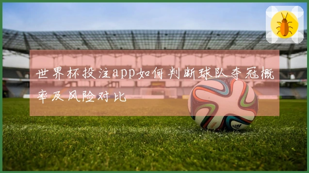 世界杯投注app如何判断球队夺冠概率及风险对比