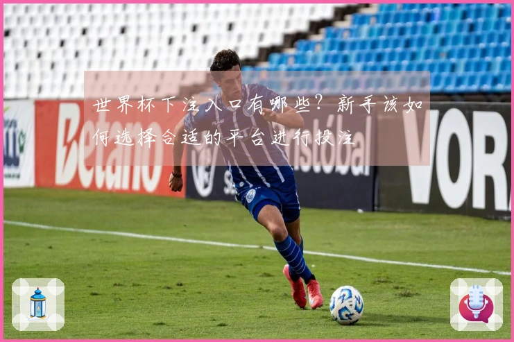 世界杯下注入口有哪些？新手该如何选择合适的平台进行投注