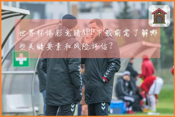 世界杯体彩竞猜APP下载前需了解哪些关键要素和风险评估？