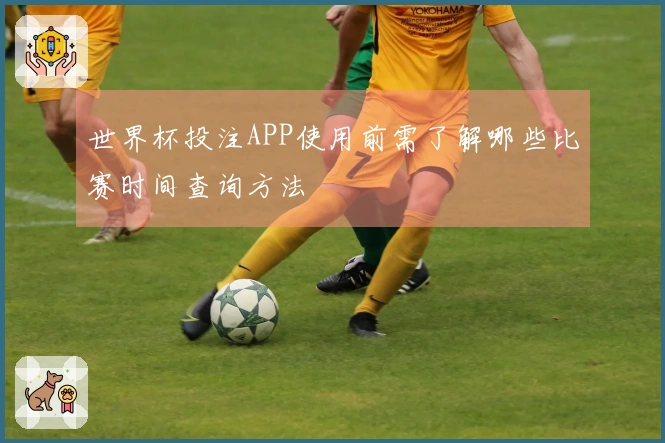 世界杯投注APP使用前需了解哪些比赛时间查询方法