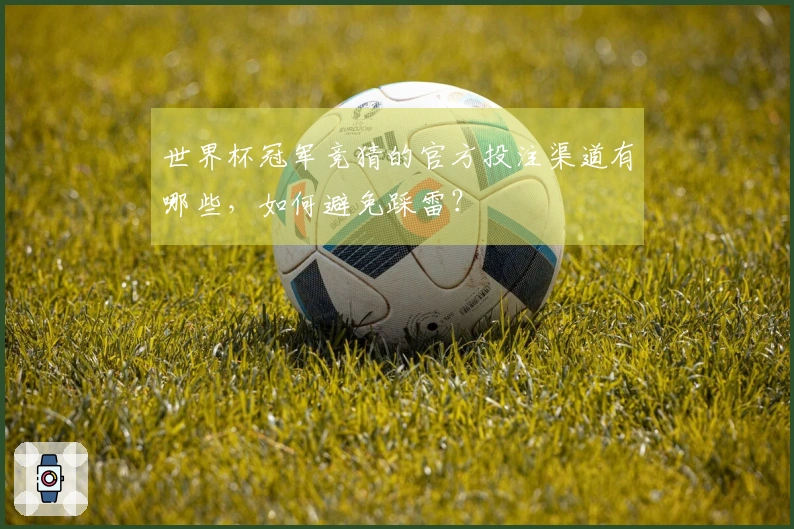 世界杯冠军竞猜的官方投注渠道有哪些，如何避免踩雷？