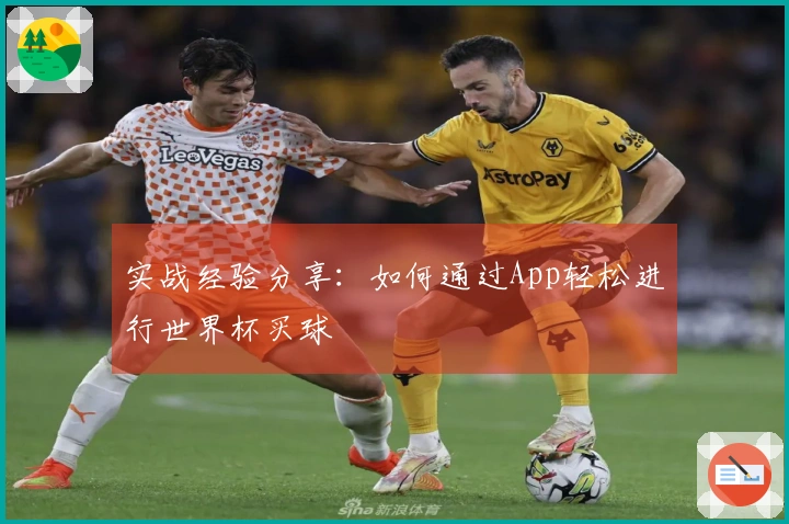 实战经验分享：如何通过App轻松进行世界杯买球