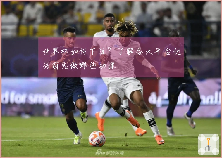 世界杯如何下注？了解各大平台优劣前先做哪些功课