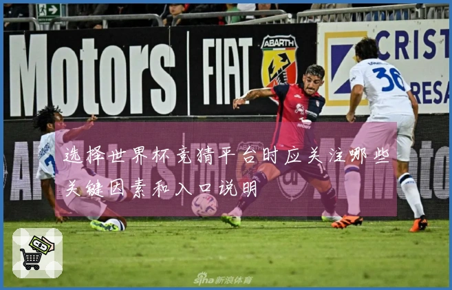 选择世界杯竞猜平台时应关注哪些关键因素和入口说明