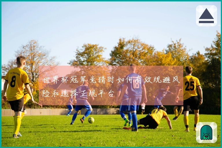 世界杯冠军竞猜时如何有效规避风险和选择正规平台