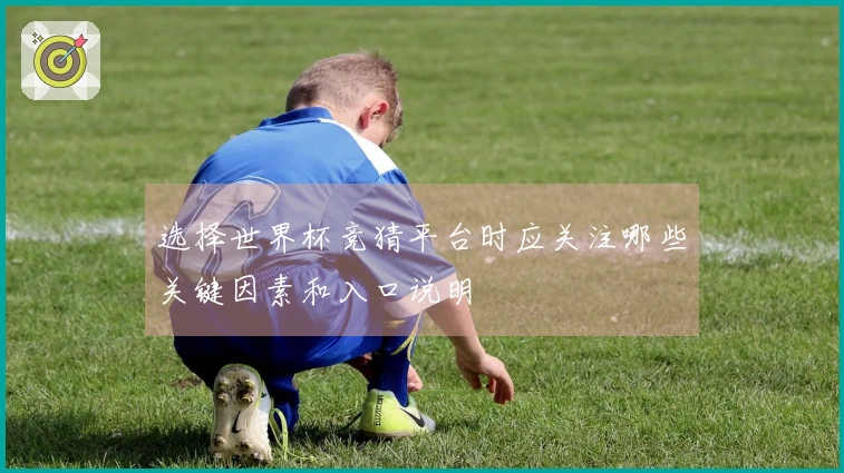 选择世界杯竞猜平台时应关注哪些关键因素和入口说明