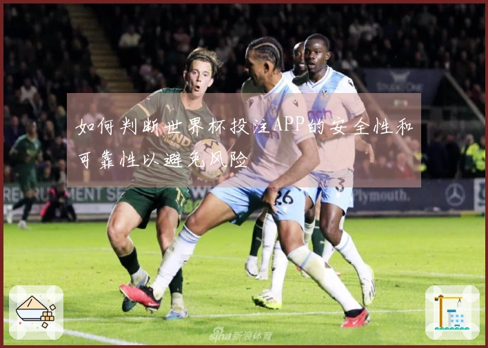 如何判断世界杯投注APP的安全性和可靠性以避免风险