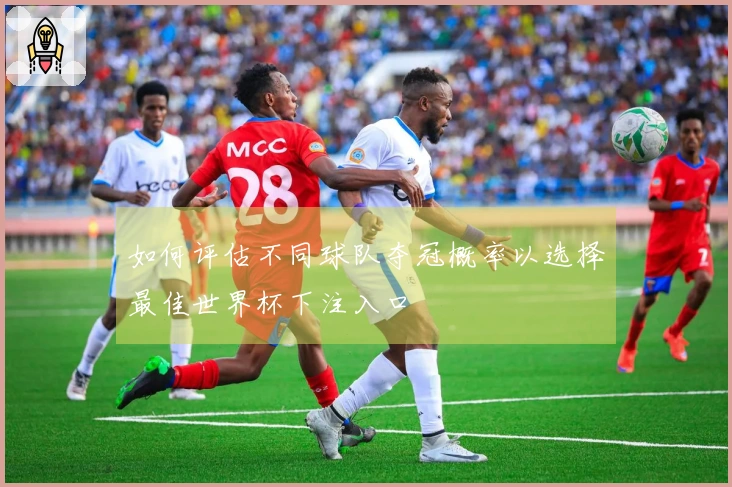 如何评估不同球队夺冠概率以选择最佳世界杯下注入口