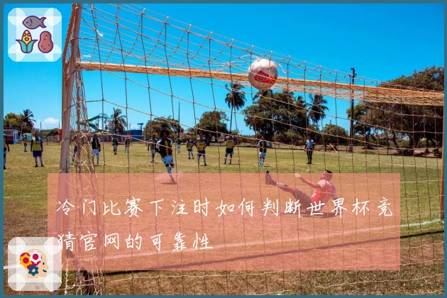冷门比赛下注时如何判断世界杯竞猜官网的可靠性