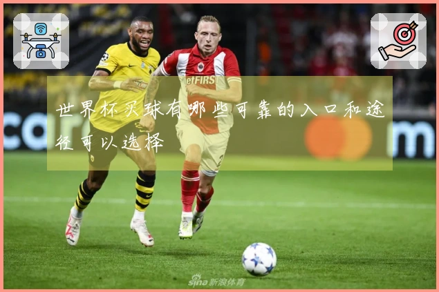 世界杯买球有哪些可靠的入口和途径可以选择