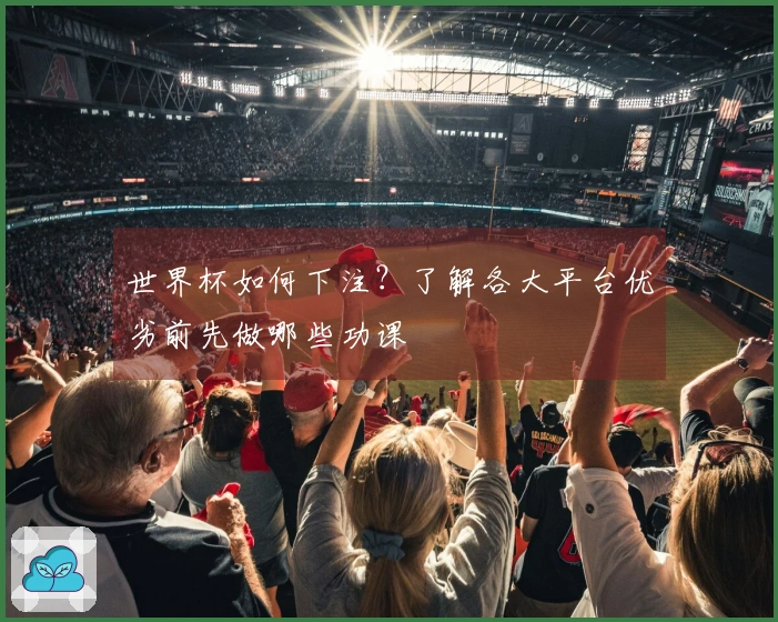 世界杯如何下注？了解各大平台优劣前先做哪些功课