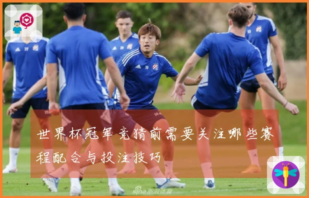 世界杯冠军竞猜前需要关注哪些赛程配合与投注技巧