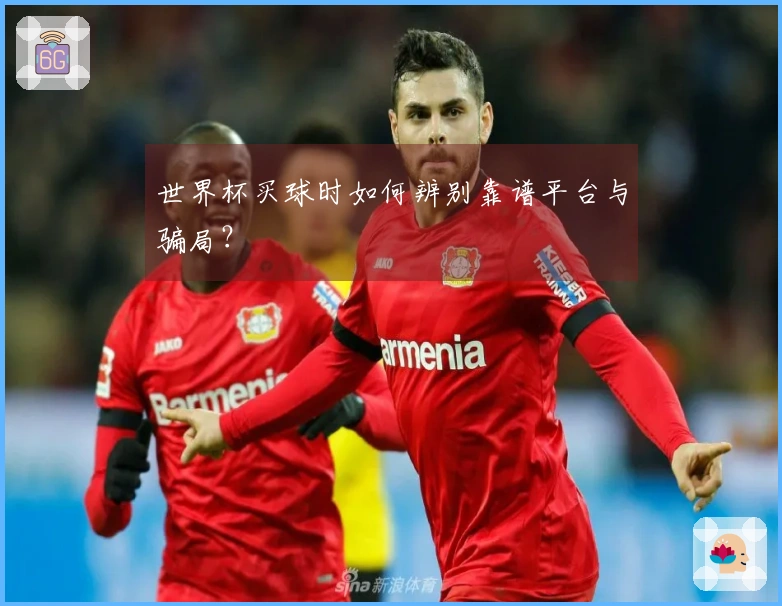 世界杯买球时如何辨别靠谱平台与骗局?